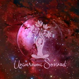 universumi sosinad