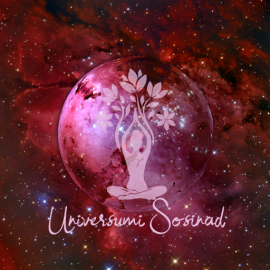 universumi sosinad